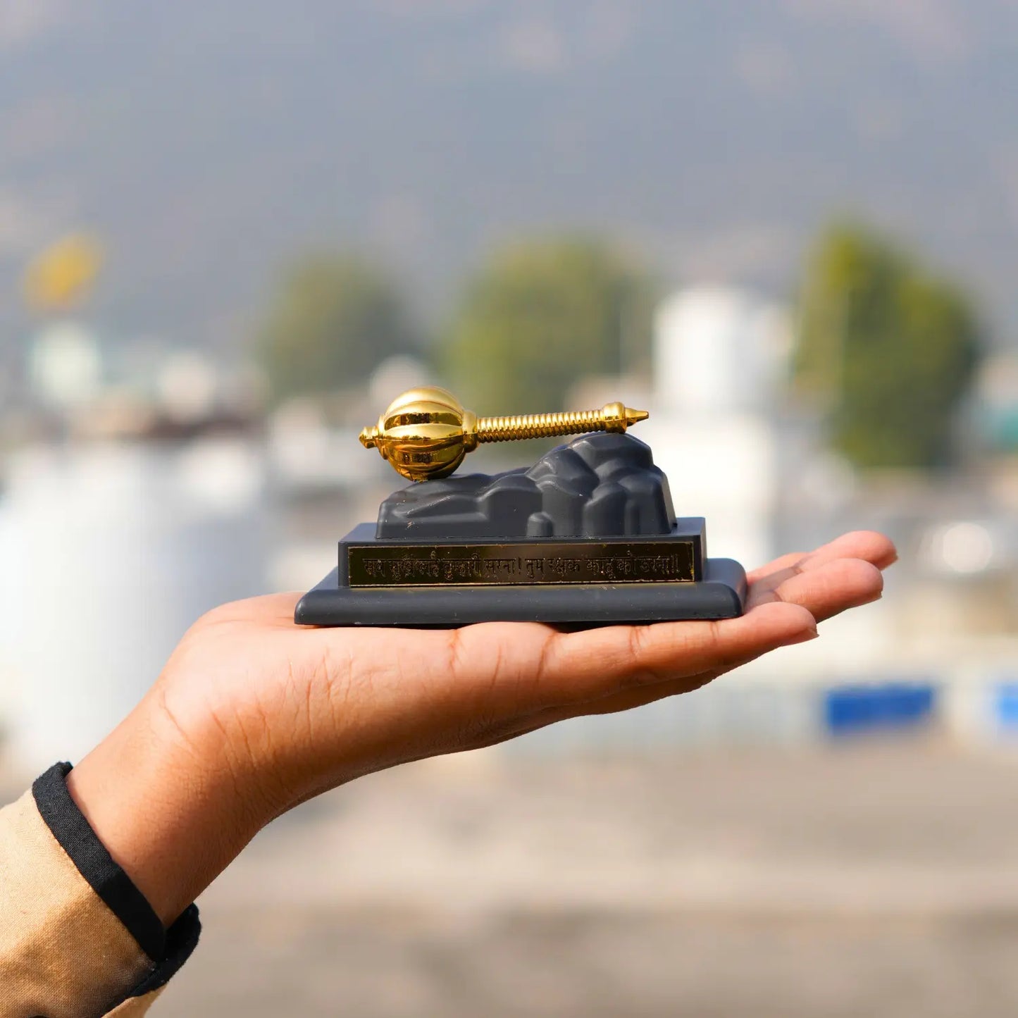 Hand holding a decorative object with a blurred outdoor background