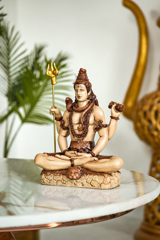 Divine Home Decor Lord Shiva Statue